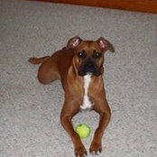 Foto von Betty McDaniel