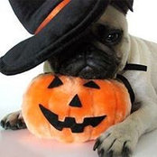 Beryl Forman's photo