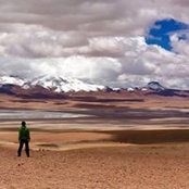 Roberta Frau's photo