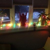 Tamara Adams's photo