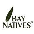 Bay Natives's profile photo