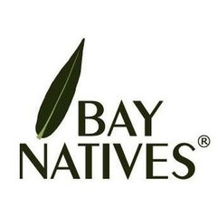 Bay Natives