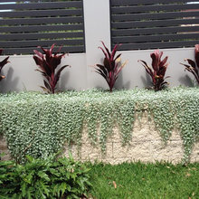 Landscape Ideas