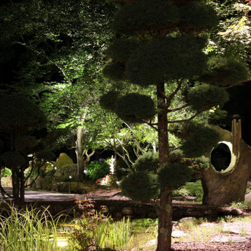 A most Unique Property with some Specimen Plant materials over 100 years old