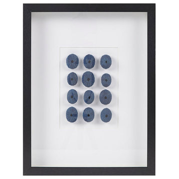Martha Stewart Indigo Shells Framed Sea Urchin Shadow Box Wall Decor