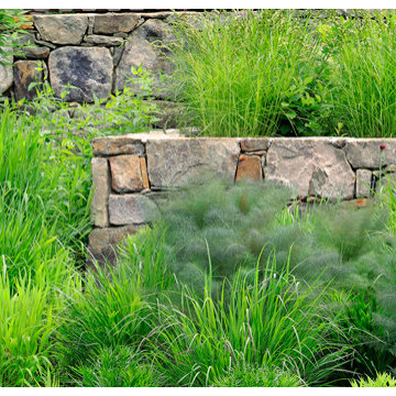 Neighbor's Pool and Rain Garden
