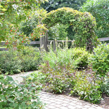 Permeable pavers, deep-rooted natives, and rain garden address water runoff.