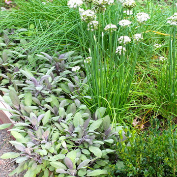 Garden Vignettes