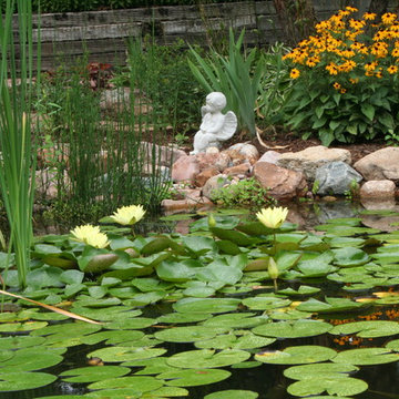 Koi Ponds and Water Gardens