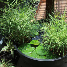 outdoor space ideas