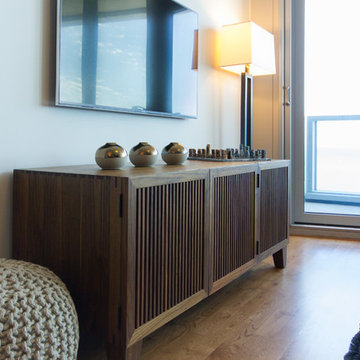 Chicago living room AV Cabinet and HDTV