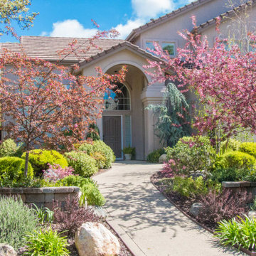 Premier Landscape Design