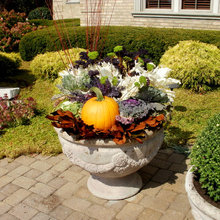 flowers fall