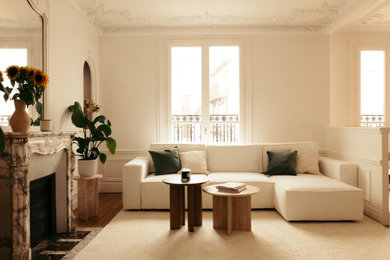 Example of a danish living room design in Paris