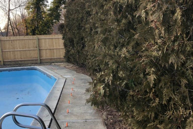 Foto de piscina clásica de tamaño medio tipo riñón en patio trasero