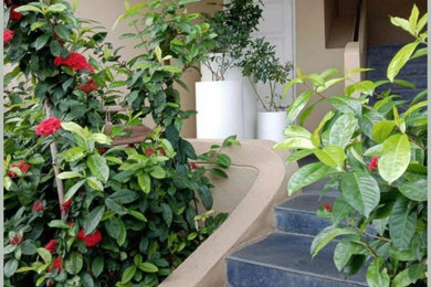 Outdoor Fiber Planters for Bungalows - from Luxaire