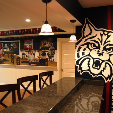 University of Arizona Sports Bar themed Mural by Tom Taylor of Wow Effects