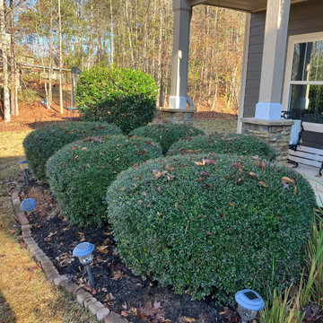 Mulch Installation and Landscape Bed Refresh