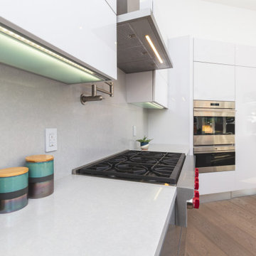 Palo Alto Grey & White Kitchen