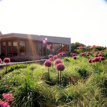 Sagaponack, NY
