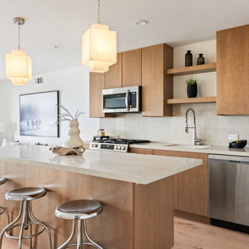 Pacific Beach New Build