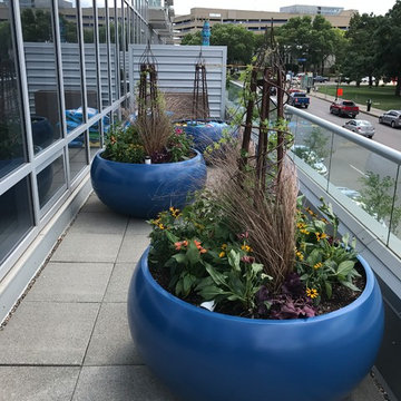 Rooftop Landscaping in Minneapolis
