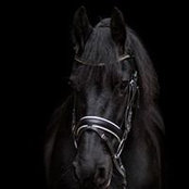 Julia Schwab's photo