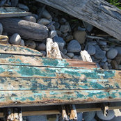 Denise Boiko's photo
