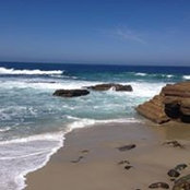 Rana Billeh's photo
