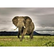 Forex Trader Jo's photo