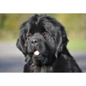 Pat Byers's photo