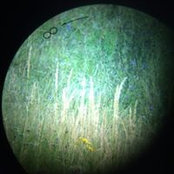 Kirill Lishnev's photo