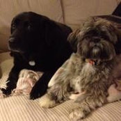Susan Braxton's photo