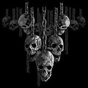 Joe Paci's photo