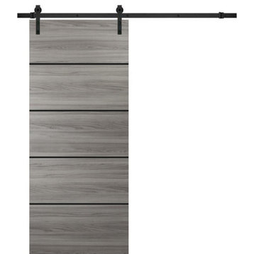Sturdy Barn Door 24 x 84 | Planum 0015 Ginger Ash with  | 6.6FT