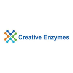 native glucoamylase - Products
