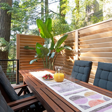 Viewing Deck