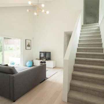 60s House Renovation