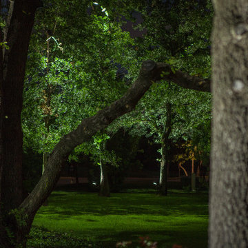 Low Voltage Up Lighting and Moon Lighting- Southlake