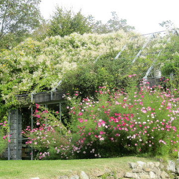 Giardino CRM-11