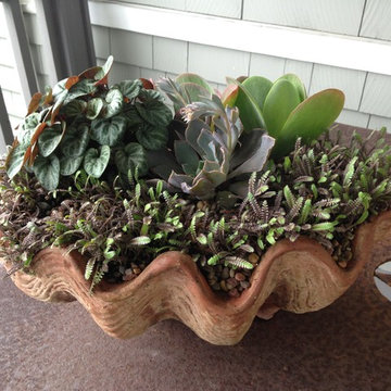 Garden Designs in Containers