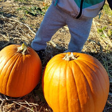Wish List