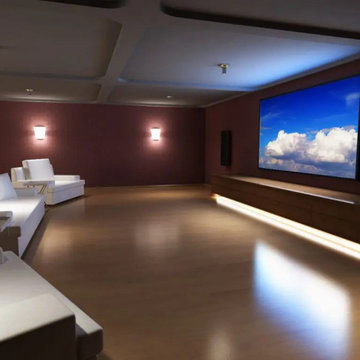 Home Entertainment