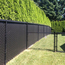 Landscape Ideas