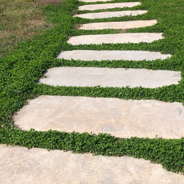 Landscaping Projects