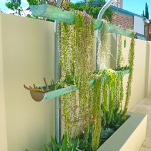 Hanging, succulents, rectangular planter