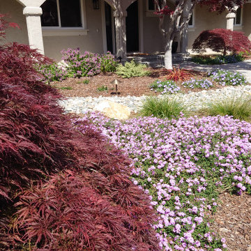 DESIGN TO COMPLIMENT MAPLE TREES