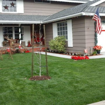 Various Landscape Turf Projects