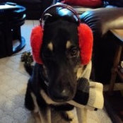 Chong Concannon's photo