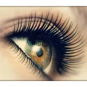 Iuliana Dumitrache's photo